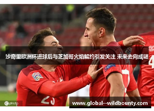 沙奇里欧洲杯进球后与芝加哥火焰解约引发关注 未来去向成谜