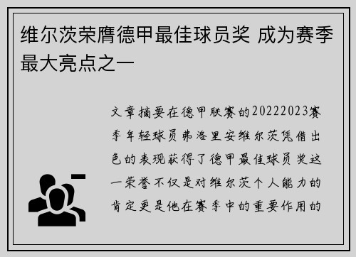 维尔茨荣膺德甲最佳球员奖 成为赛季最大亮点之一